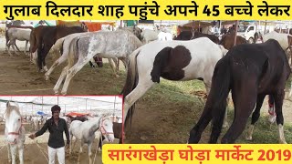 व्यापारी गुलाब दिलदार शाह भी पहुंचे हैं अपने 45 बच्चे लेकर -Sarangkheda Horse Market 2019-9850226739