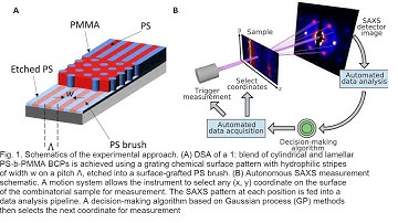 Autonomous Discovery of Emergent Morphologies in Directed SelfAssembly of Block Copolymer Blends