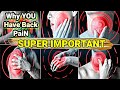 Symptoms kidney disease 12 Signs DON&#39;T IGNORE THEM / KNOW IF YOU HAVE KIDNEY PROBLEMS! back pain