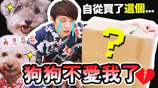 ⚠️自從買了「這東西」?狗狗就不愛我了??Muffin 最喜歡的原來是？❤️Brownie大發雷霆了?（中字）