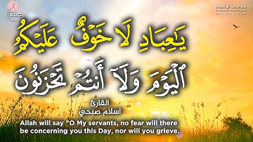 يَٰعِبَادِ لَا خَوْفٌ عَلَيْكُمُ ٱلْيَوْمَ وَلَآ أَنتُمْ تَحْزَنُونَ || إسلام صبحي تلاوة خاشعة