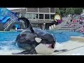 One Ocean (Full Show/Full HD) April 21 2015 2pm - SeaWorld San Diego