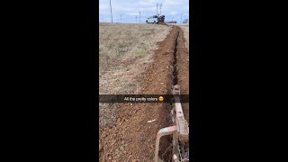 Crew Is Stoked Whenever We Find A Rainbow Root 