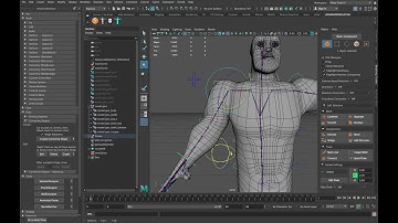 Rigging Timelapse - Miguel