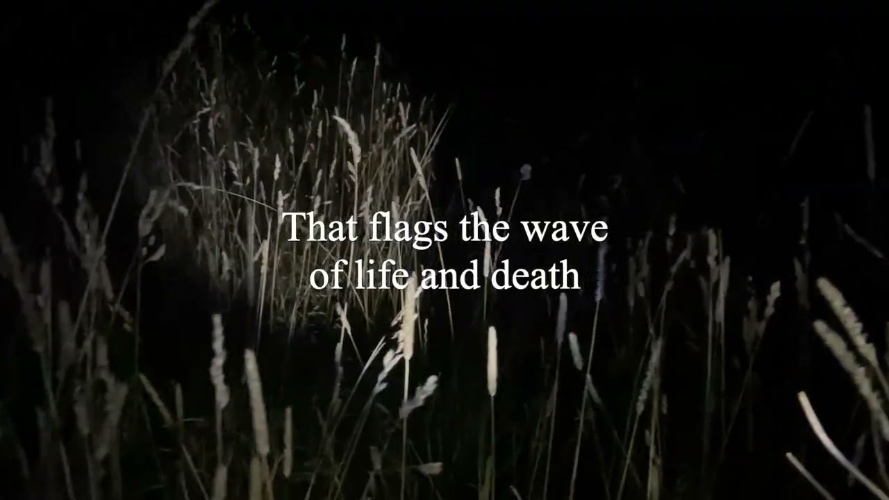 Mike Reid & Joe Henry - Weather Rose (Official Lyric Video)