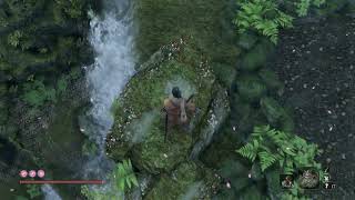 Sekiro: Shadows Die Twice #13 Boski Smok