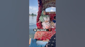 Dal Lake Kashmir ❤️🥀#dallake #dallakesrinagar #kashmir #kashmirvalley #kashmirtourism #shorts