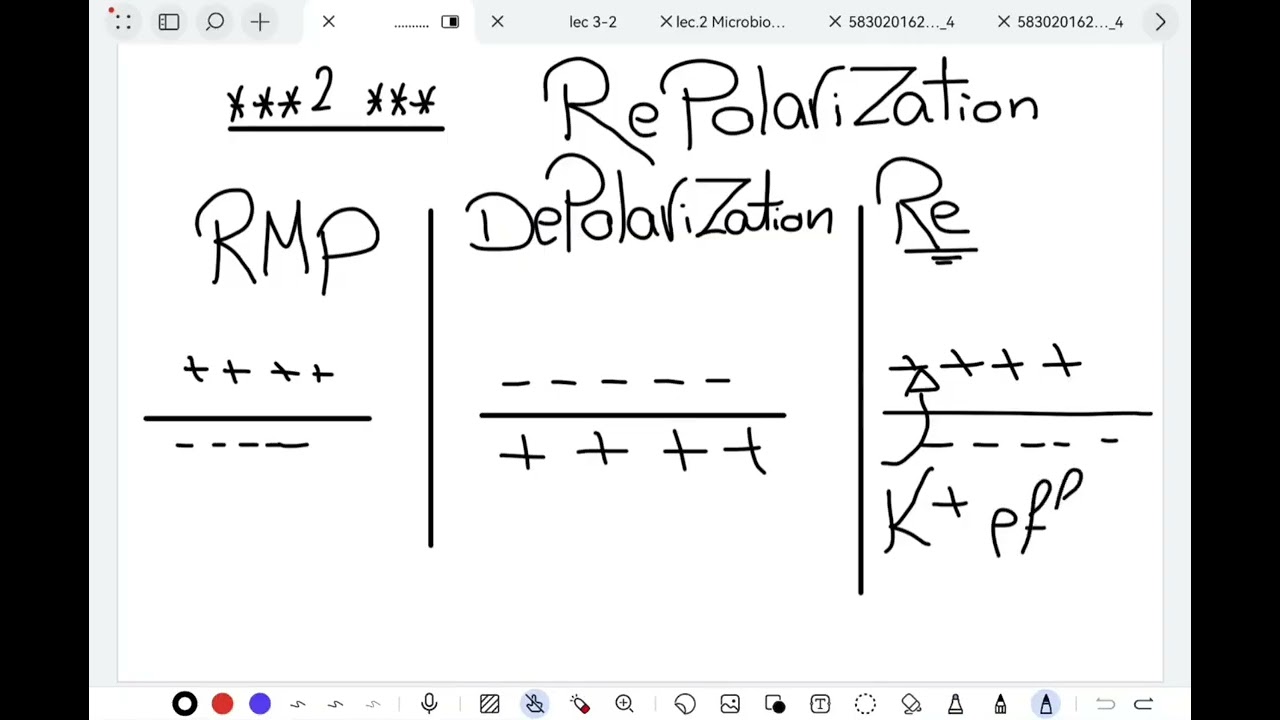 Physiology112 ( physical therapy MUST)