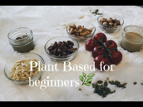 plant-based-diet-meal-plan-for-beginners