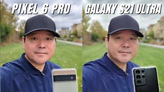 Pixel 6 Pro vs Galaxy S21 Ultra Camera Comparison