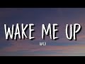 Avicii - Wake Me Up (Lyrics)