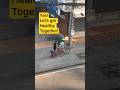 Bangkok Micromobility | Anywheel Shared Bike POV Walk