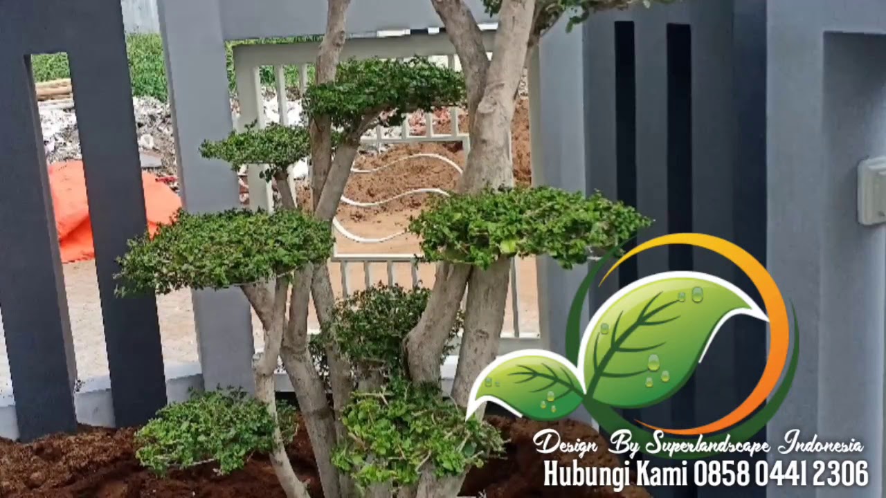Jasa pembuatan taman taman minimalis YouTube Jasa pembuatan taman taman minimalis YouTube