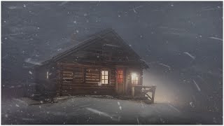 Intense Blizzard \& Wind Sounds for Sleeping┇Snow Ambience┇Winter Storm White Noice