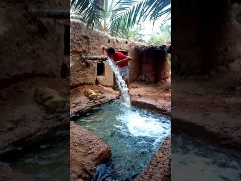 مدينة أرفود الحاسي