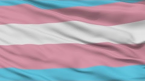 Transgender Pride Waving Flag | Motion Graphics - Videohive template