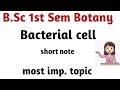 B.Sc 1st Sem Botany || Structure of bacterial cell #education
