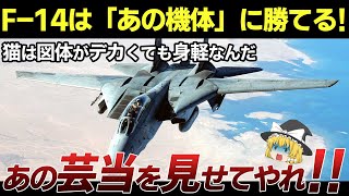 [トップガン] マーヴェリックが魅せるF-14トムキャットのドッグファイトの凄さを徹底解説 [大ヒット記念][この動画を見れば一層楽しめる！]　第一部