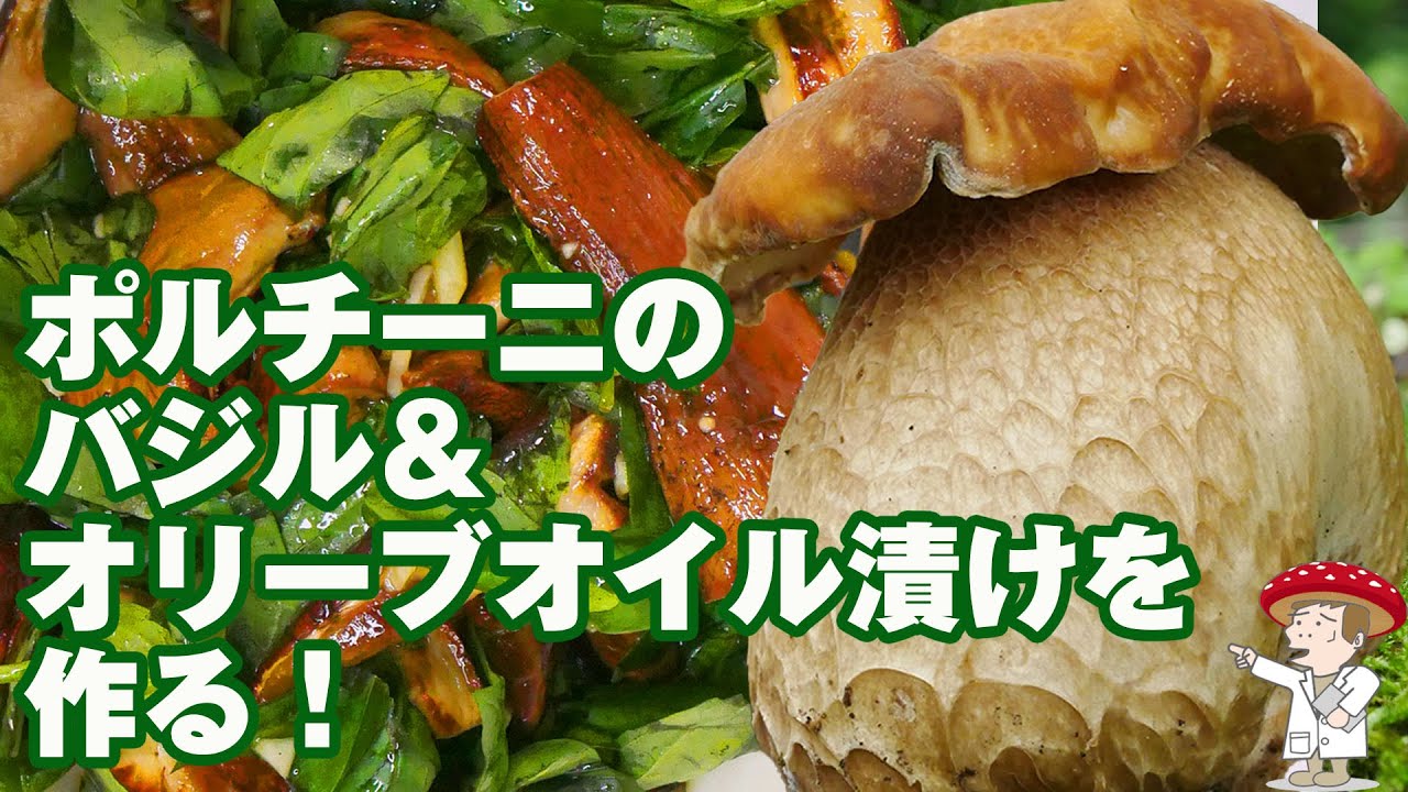ヤマドリタケモドキ ポルチーニ 料理です バジルとにんにくでオリーブオイル漬けを作ってみました Youtube