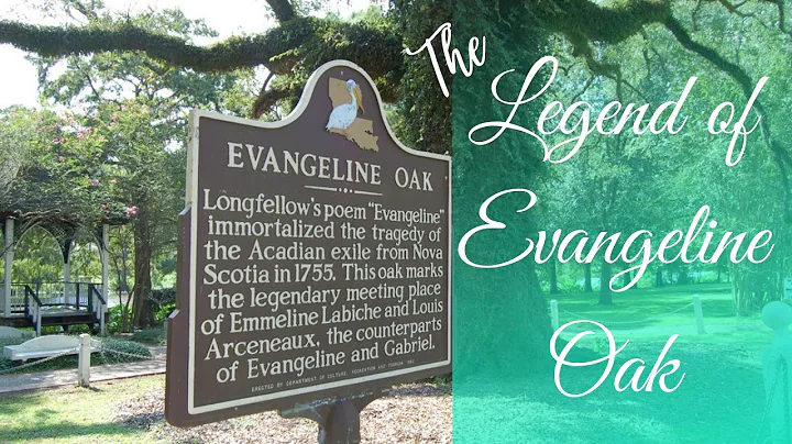 The Legend of The Evangeline Oak - St Martinville, La.