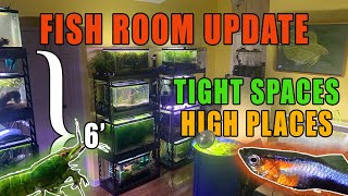 Stack 'em High: Another Fishroom Tour