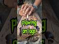 plowing on log skill #firemaking  #primitivefire #bushcraft #survival