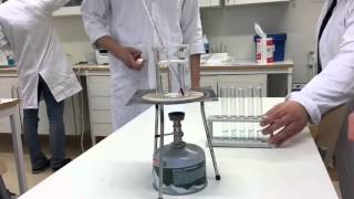Estrar Laboration