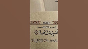 #ياسر_الدوسري #سورة_المؤمنون #تلاوات_الحَرَم #اكسبلور #المصحف #راحة_نفسية #القرآن_الكريم