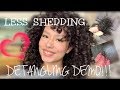 HOW I REDUCE SHEDDING/DETANGLE MY HAIR!!! | Kats.curls