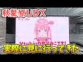 ついに地上波!?秋葉原UDXのハイビジョンで広告されていた！！！【Vtuber/神谷ねこ】