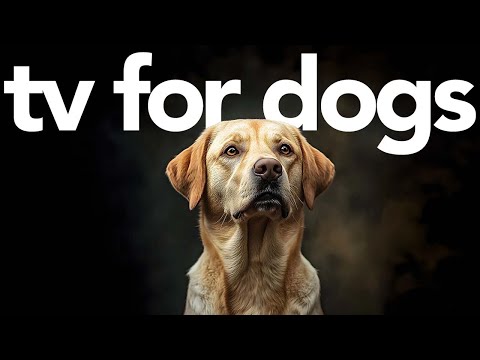 TV For Dogs | 3 Hour Relaxation Video for Dogs | Help Your Dog Relax!