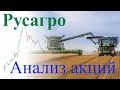 Русагро - фундаментальный анализ акций