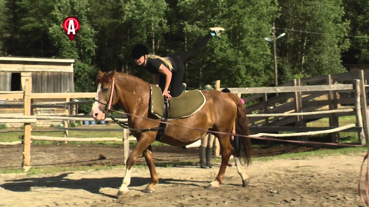 [ДЕЛО ЖИЗНИ] - КОННИК