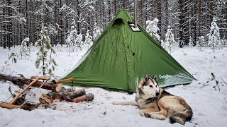 Winter Camping Adventure: Hot Tenting with MY Dog