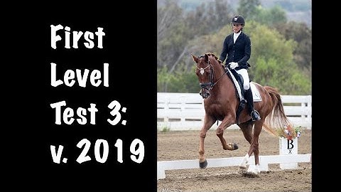 How to Ride First Level Test 3 (v. 2019)
