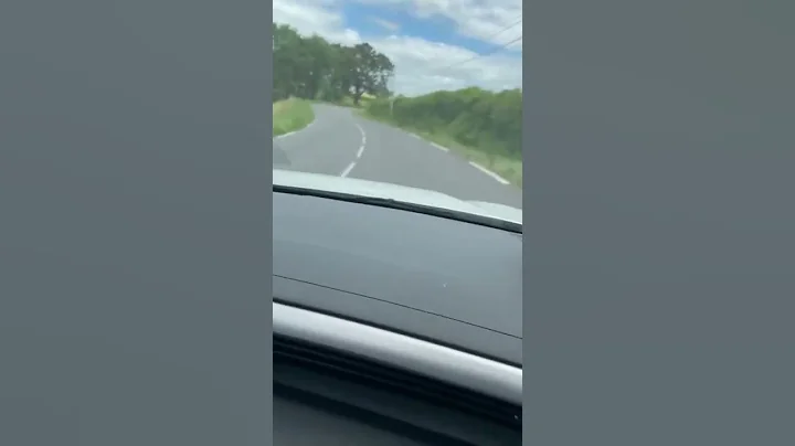 Wheeee!