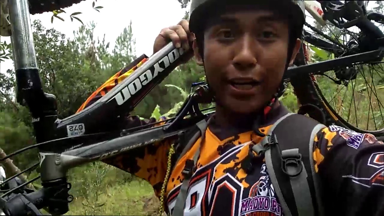 Taman Kelir Taman Tersembunyi Di Kab Kediri ternak puyuh