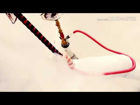 ساحلي شعيله يشعيله يشعيله يشعيله قومي