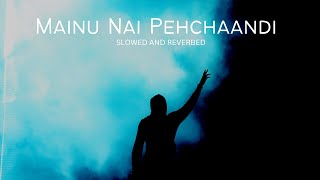 Mainu Nai Pehchaandi -  Jerry | SLOWED AND REVERBED |