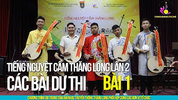 CẢM XÚC QUÊ HƯƠNG - ĐỘC TẤU ĐÀN NGUYỆT