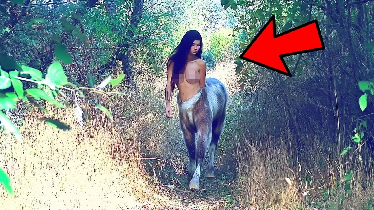 На Камеру В Лесу Удалось Снять Такое, Что Никто Не Ожидал Увидеть