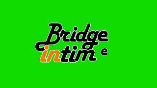 Анимация логотипа Bridge In Time (BRIDGE TV Россия 2008-2013) Использовать в заставках