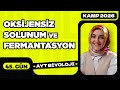 45) Oksijensiz Solunum ve Fermantasyon | 12. Sınıf Biyoloji | AYT Biyoloji Kampı 45. Video