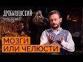 Какие существа могли развить мозг так же, как и человек? // Дробышевский