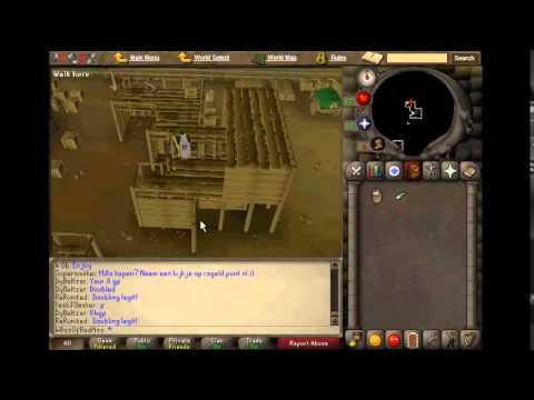 Gertrudes Cat OSRS (Obtaining First Kitten) - YouTube