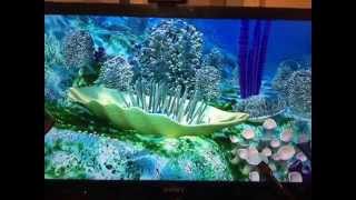 Ecran de veille sous marin hd screenshot 2