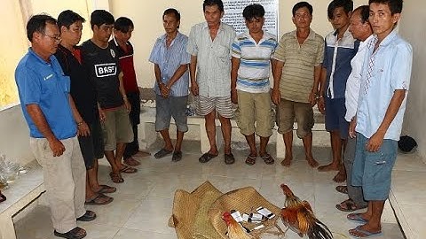 Bắt quả tang ổ nhóm đánh bạc bằng hình thức đá gà