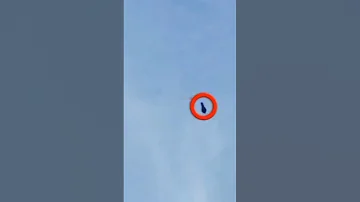 WORLD S FASTEST BIRD MAX SPEED 360KM H PEREGRINE FALCON ATTACK PIGEON 
