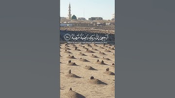 يَا أَيَّتُهَا النَّفْسُ الْمُطْمَئِنَّةُ❤️ القارئ رعد الكردي 🎧#رعد_الكردي❤️ #روائع_التلاوات ❤️