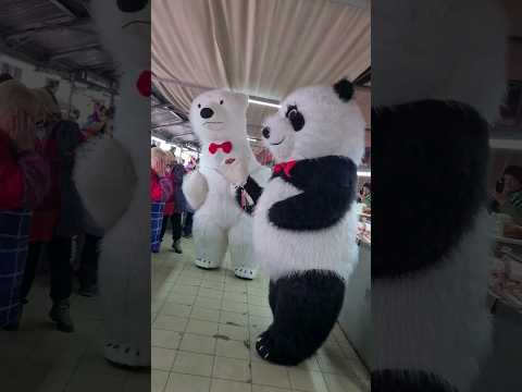 Трогательная встреча с женой после долгой разлуки 💐 До конца!!!!! #белыймедведьволгоград